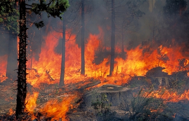 Ένας νεκρός στην Καλιφόρνια από μεγάλης έκτασης πυρκαγιάς