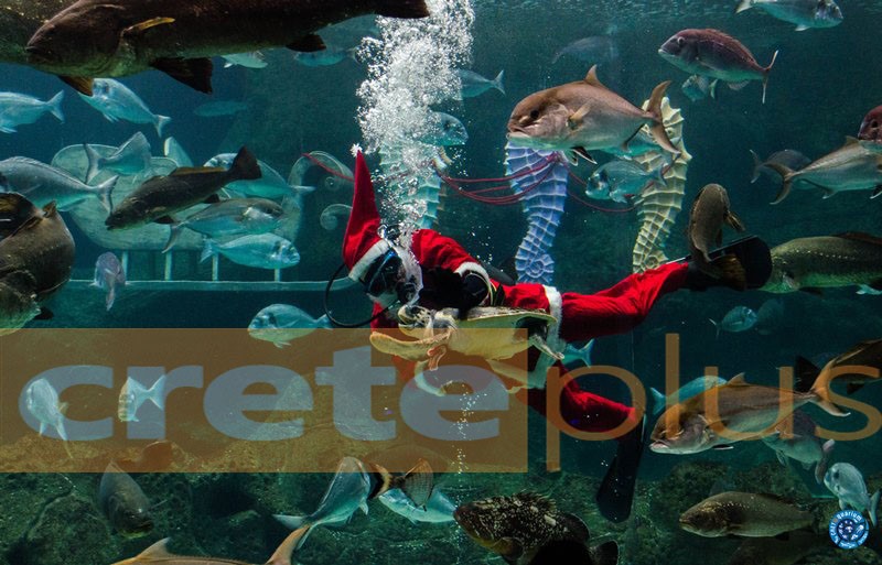Χριστούγεννα στο Ενυδρείο Κρήτης με τον υποβρύχιο Άγιο Βασίλη! (pics+vid) 