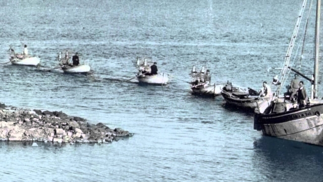 Κρήτη: Καταστρέφεται η θαλάσσια ζωή στο Ρέθυμνο από τα «Γρι-Γρι» 