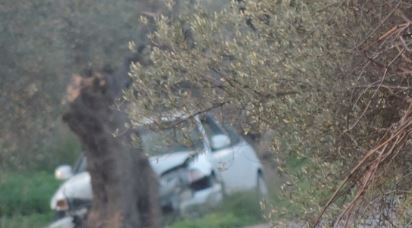 Ενα αυτοκίνητο «καρφώθηκε»σε ελιά στη Μεσαρά (pic) 