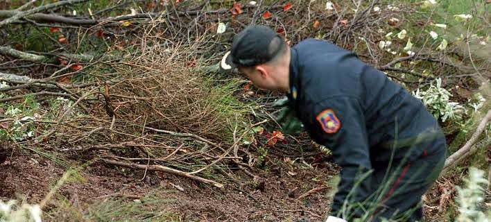 Νεκρός 55χρονος  από πτώση σε χαράδρα στο Μέτσοβο