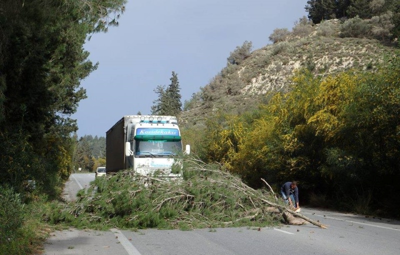 Οι θυελλώδεις άνεμοι ξεριζώνουν ακόμη και δέντρα στο ΒΟΑΚ - Νεκρός ένας πολίτης από πτώση ευκαλύπτου στην Κρήτη (pics) 