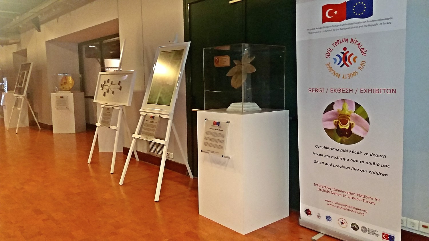 Εκθεση για την προστασία των άγριων ορχιδεών Ελλάδας και Τουρκίας στο Μουσείο Φυσικής Ιστορίας Κρήτης (ΜΦΙΚ)