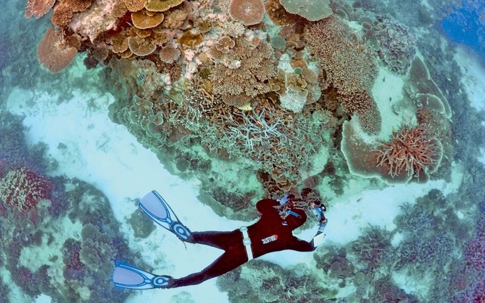 Ο Κοραλλιογενής Υφαλος εκπέμπει σήμα κινδύνου