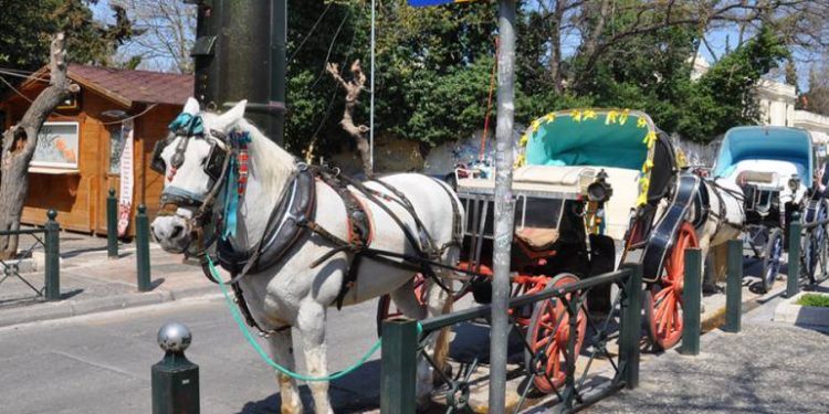 Αντιδρούν οι φιλοζώοι στις τουριστικές διαδρομές με άμαξα στο Ηράκλειο