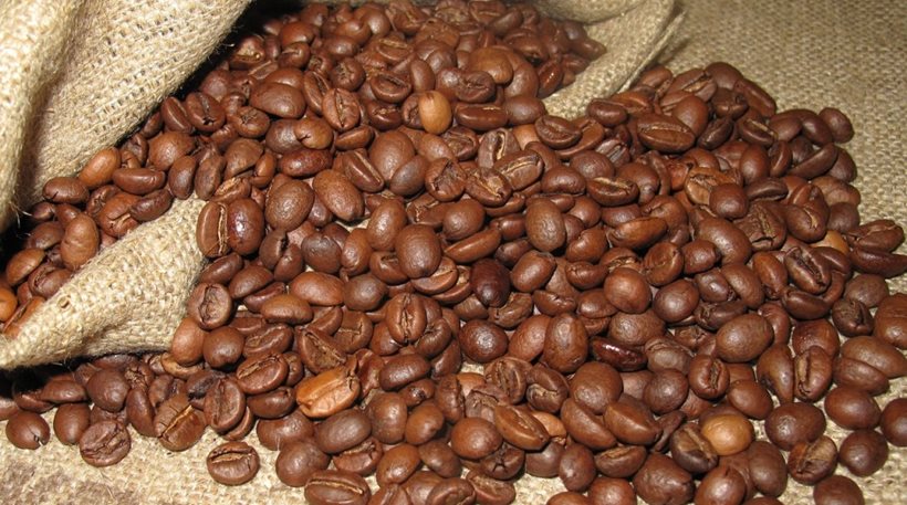 Αποκαλύφθηκε το DNA της ποικιλίας καφέ «αράμπικα»