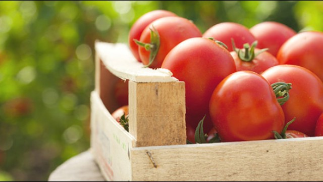 Το ΕΚΗ μοιράζει ντομάτες και πιπεριές σε οικονομικά ασθενείς οικογένειες 