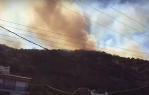 Φωτιά στο Μαρδάτι Λασιθίου- Κοντά στον οικισμό οι φλόγες (vid)