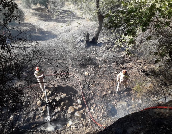 Κρήτη: Υπό πλήρη έλεγχο η φωτιά που κινητοποίησε την Πυροσβεστική (Φωτογραφίες) 