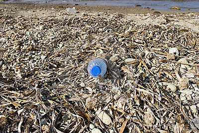 Δράση καθαρισμού της παραλίας του Καρτερού- Απαιτείται γενική...επιχείρηση για τις ακτες 