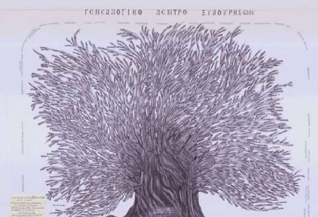 Το γενεαλογικό δέντρο των Ξυλούρηδων