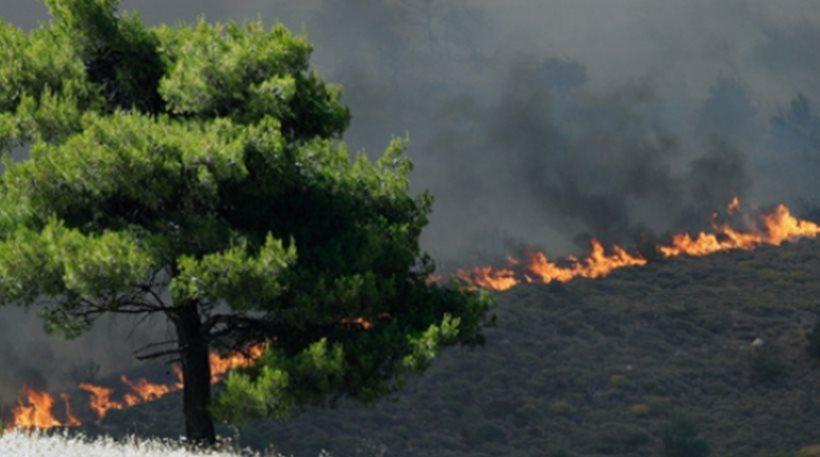 Κρήτη: Εστίες φωτιάς σε δύσβατη περιοχή - Επί ποδός η πυροσβεστικη