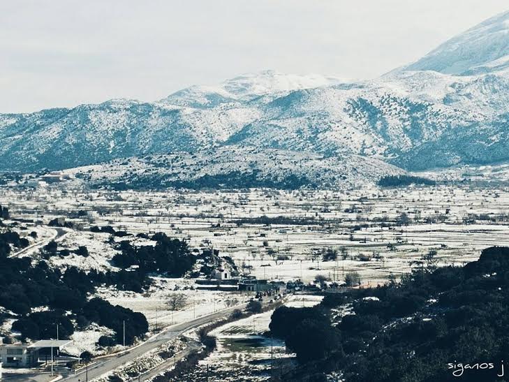 Χιονισμένο το τοπίο στο Οροπεδιο Λασιθίου- «Στα άσπρα» τα ορεινά της Κρήτης (pic) 