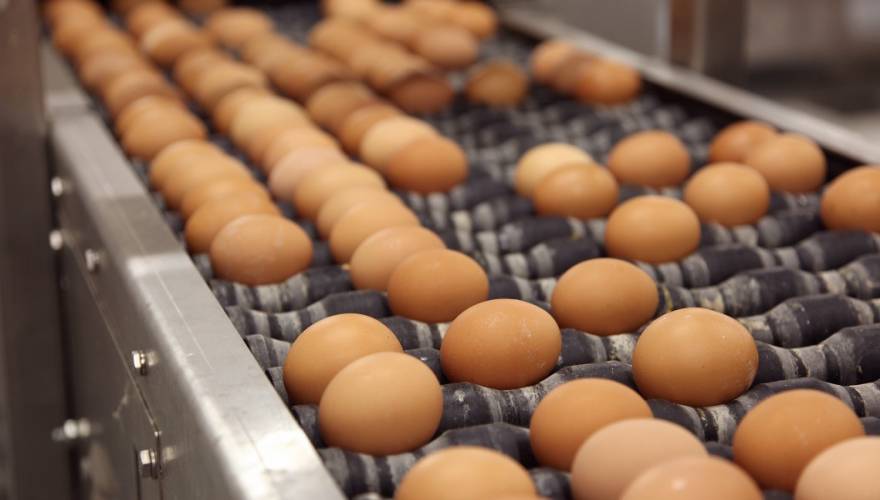 Κατασχέθηκαν πάνω από το 90.000 αυγά από εταιρεία που δραστηριοποιείται και στην Κρήτη 