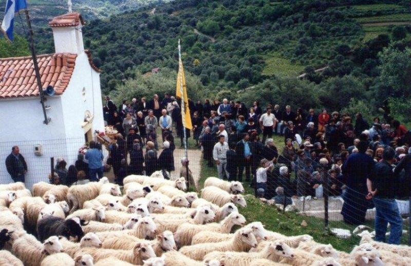Χιλιάδες τα πρόβατα που ευλογήθηκαν και φέτος στον Άη Γιώργη- Στην Ασή Γωνιά ο Περιφερειάρχης (pics)   