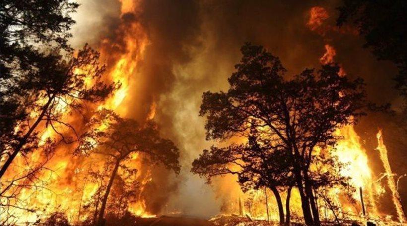 Καλιφόρνια: Στους 35 οι νεκροί από τις πυρκαγιές - Στάχτη πάνω από 5.700 σπίτια και επιχειρήσεις