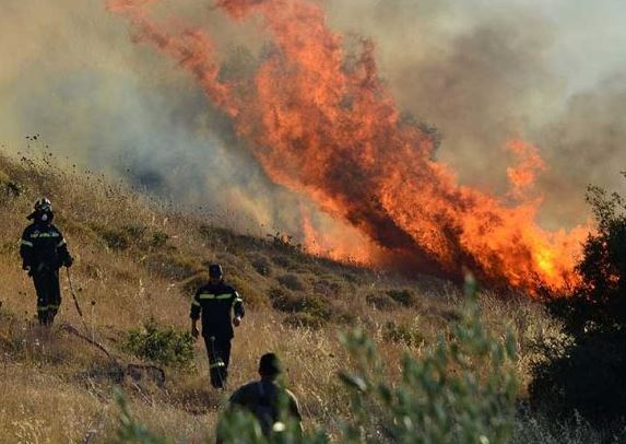 Εκατο στρέμματα καήκαν στις Καρίνες – Υπό έλεγχο η πυρκαγιά 