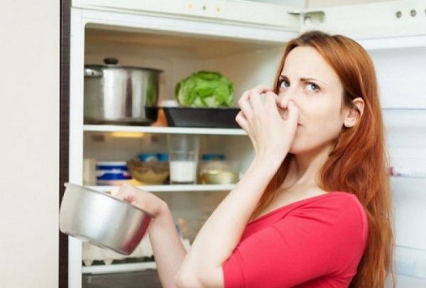 Οι σπιτικές ταμπλέτες που διώχνουν τις μυρωδιές από το ψυγείο