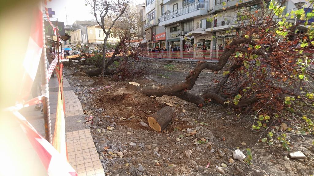 H απάντηση του Δήμου Ηρακλείου για τα κομμένα δέντρα- Τι αναφέρει για Ιδης και Ρωμανού. 