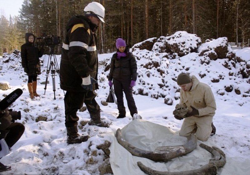 Γιγάντιο προϊστορικό μαμούθ 10.000 ετών ανακαλύφθηκε στη Σιβηρία!