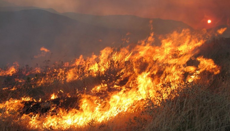 Πυρκαγιά ξέσπασε στον Άγιο Μάμα Μυλοποτάμου- Και χορτολιβαδικη εκταση 