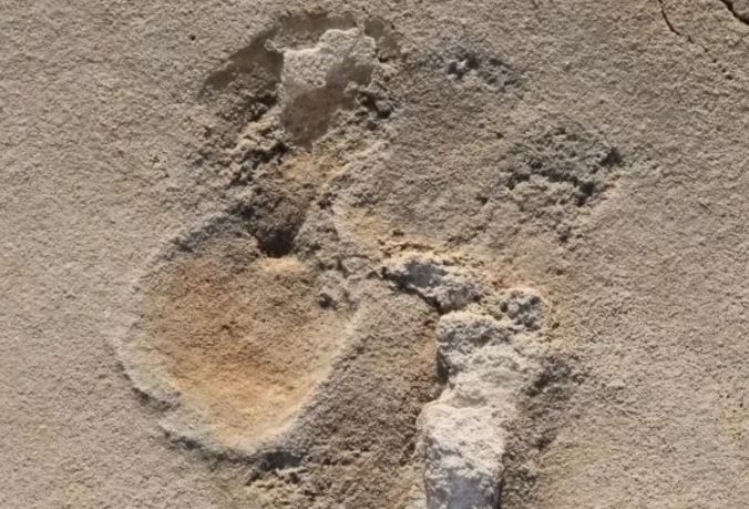 Kρήτη: Έκλεψαν τα ανθρώπινα αποτυπώματα εκατομμυρίων ετών που ανακαλύφθηκαν στην Κίσσαμο. 