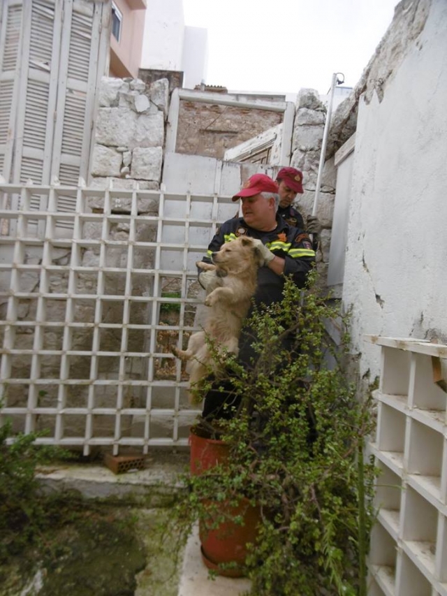 Ηράκλειο: Οι πυροσβέστες έσωσαν εγκλωβισμένο σκύλο (φωτογραφίες)