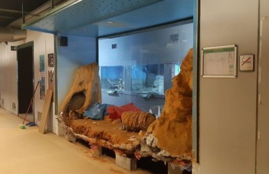 Το Μουσείο Φυσικής Ιστορίας Κρήτης ….συστήνεται ξανά!